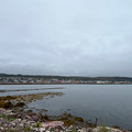 IMG_9113.HEIC