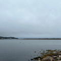 IMG_9114.HEIC