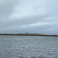 IMG_9118.HEIC