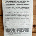 IMG_9132.HEIC