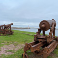 IMG_9164.HEIC