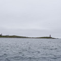 IMG_9176.MOV
