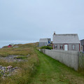 IMG_9187.HEIC