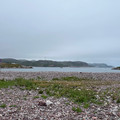 IMG_9193.HEIC