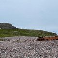 IMG_9196.HEIC