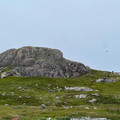 IMG_9198.HEIC