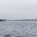 IMG_9278.MOV