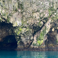 IMG_9289.HEIC