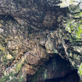 IMG_9295.HEIC