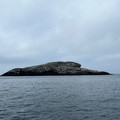 IMG_9298.HEIC
