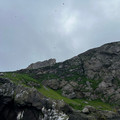 IMG_9299.HEIC