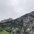 IMG_9300.MOV