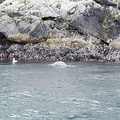 IMG_9303.MOV