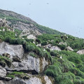 IMG_9312.HEIC