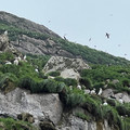 IMG_9313.HEIC