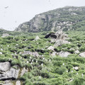 IMG_9315.MOV