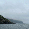 IMG_9318.HEIC