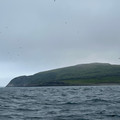 IMG_9327.HEIC