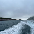 IMG_9331.HEIC