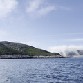 IMG_9371.MOV