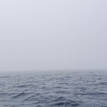 IMG_9380.MOV
