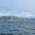 IMG_9392.HEIC