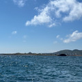 IMG_9427.HEIC